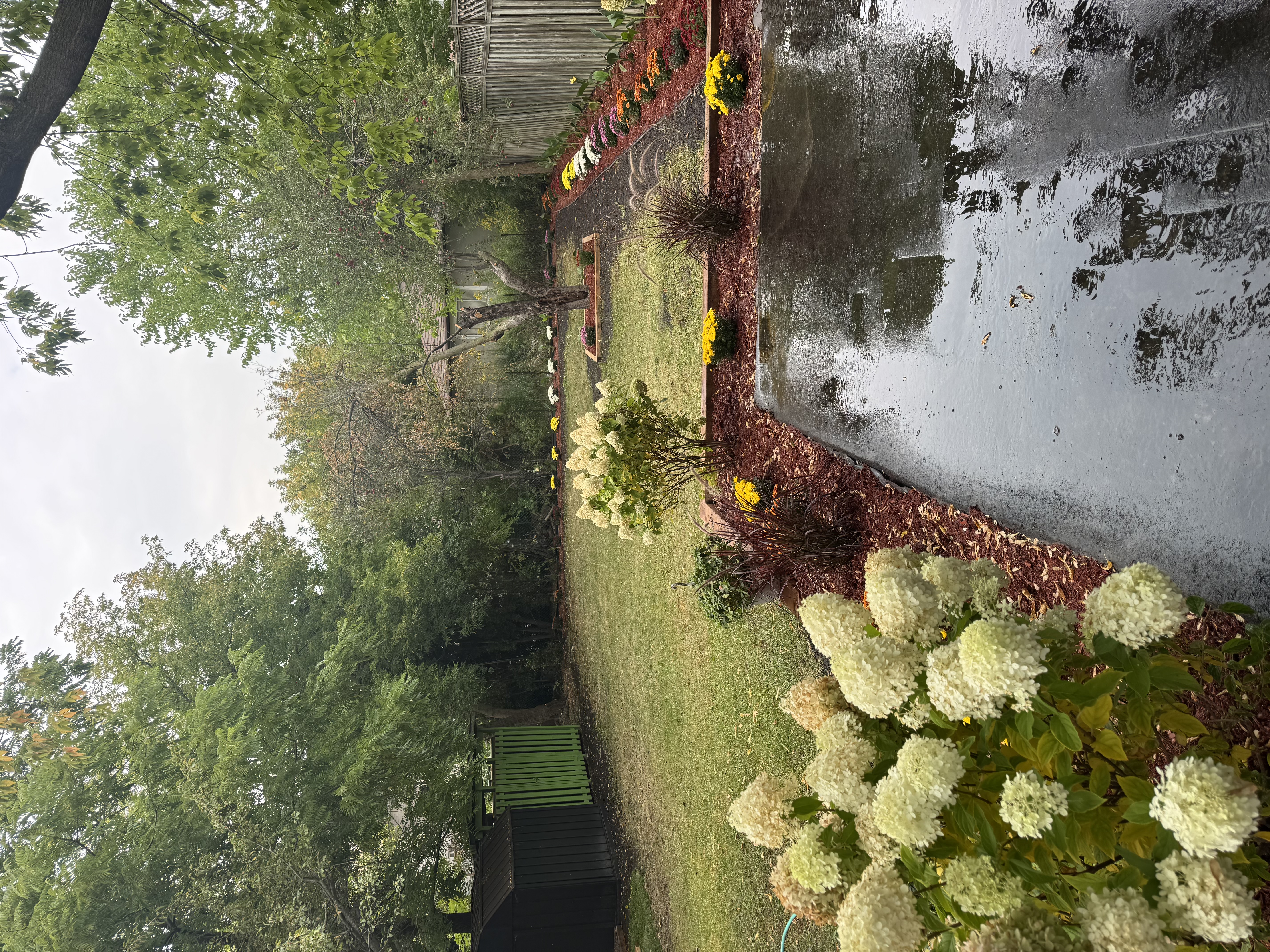 Backyard with Water Feature