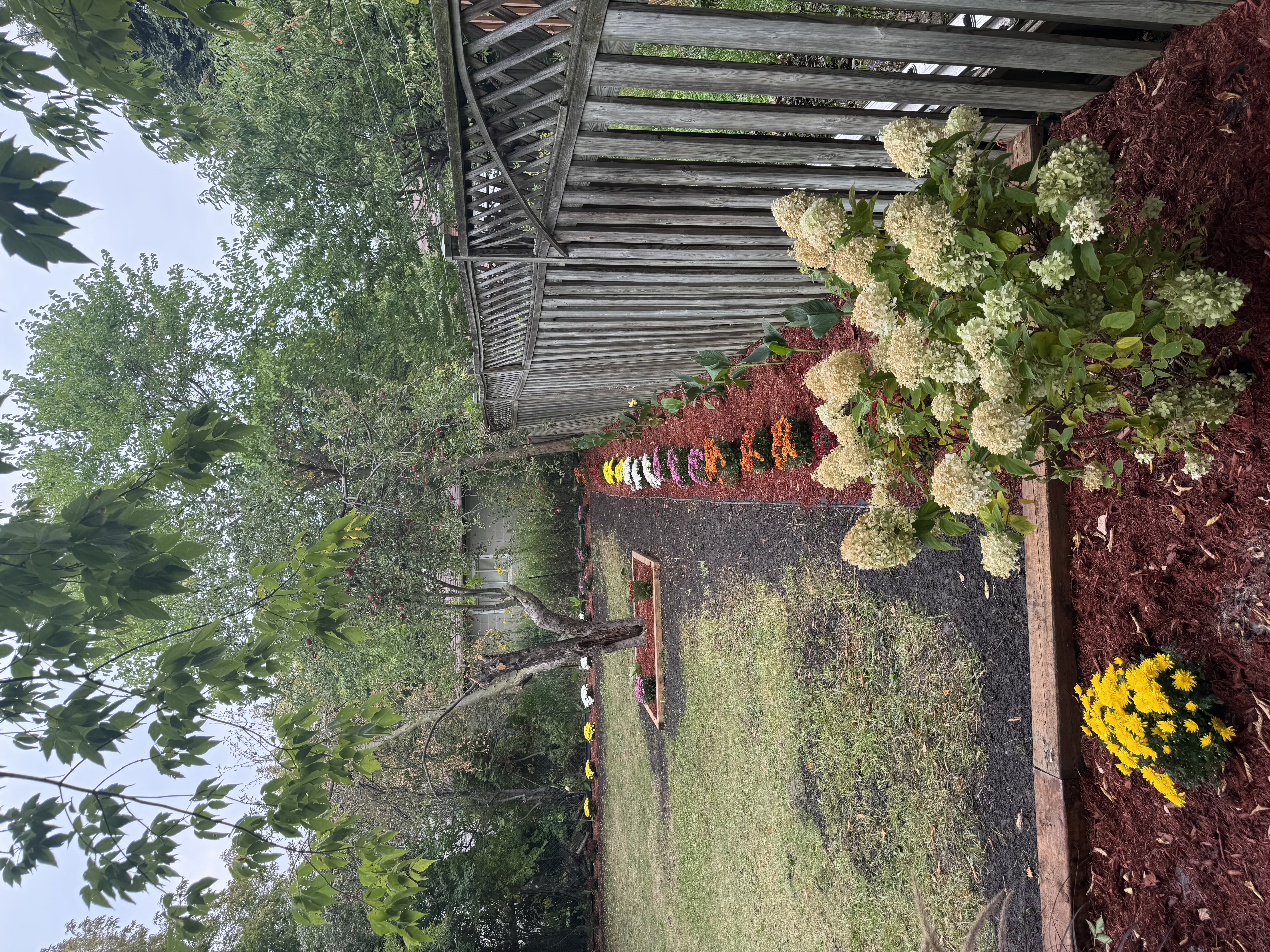 Backyard Border Garden